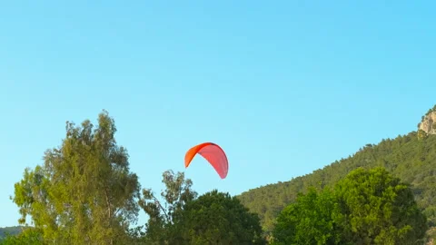 Red paraglider flies over green trees Video stock 321453953