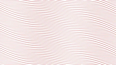 Red parallel wave lines slow flowing animation on isolated white background.  Stock Footage 202592974