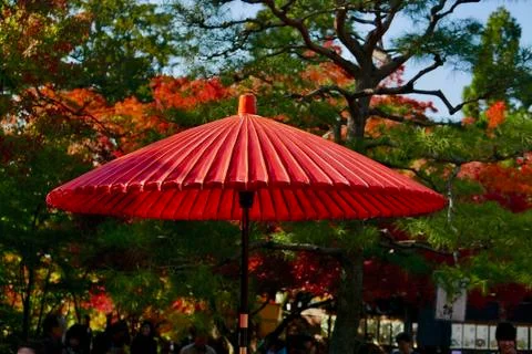 Red parasol Foto stock