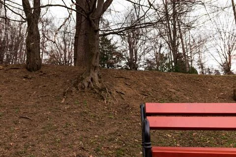 Red Park Bench on Hillside with Bare Trees in Early Spring or Autumn Landscape Foto stock