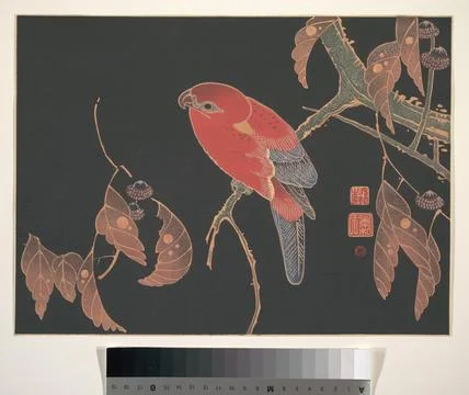 Red Parrot on the Branch of a Tree ca. 1900 It? Jakuch? Japanese. Red Parro.. Stock Photos