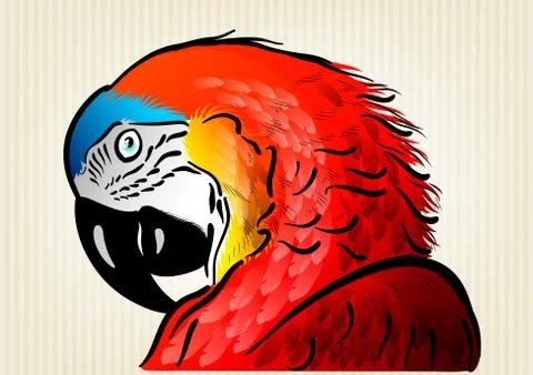 Red parrot Illustrazione stock