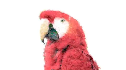 Red parrot on an isolated white background, watercolor drawing, tropical birds. Stock Illustration