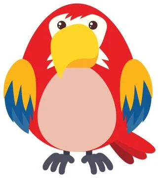 Red parrot on white background Stock Illustration
