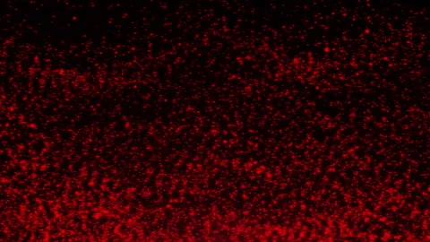 Red particle abstract wavy background. Technological and futuristic backgroun Видео 274048404