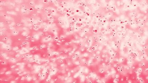 Red particles fly Stock Footage 151962977