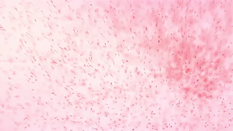 Red particles Stock Footage 151825920