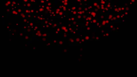 RED particles glowing on the black background. Black background with light pa Stock Footage 218577504