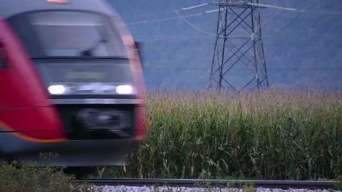 Red passenger train passing by in front of corn field Stock Footage 169916025
