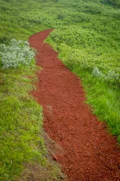 Red path Stock Photos