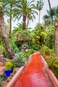 Red pathway among the tropical trees and plants in Majorelle Garden (Jardin M Stock Photos