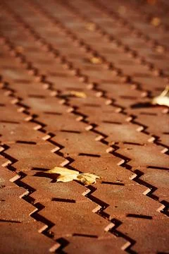 Red pavement with leaf Stock Photos