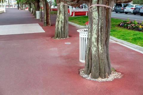 Red pavement Stock Photos