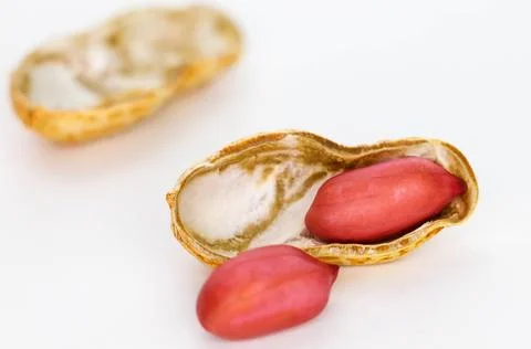 Red peanuts on white Stock Photos