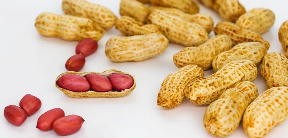Red peanuts on white Stock Photos