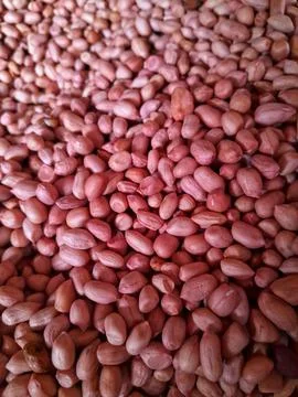 Red peanuts without shells or peeled, for food, background and texture. Stock Photos