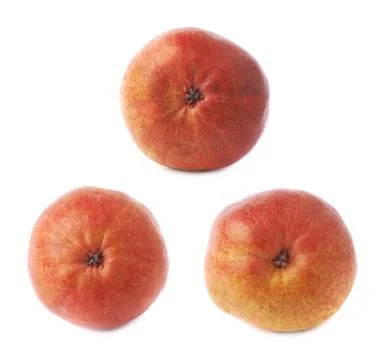 Red pear fruit isolated Stock Photos