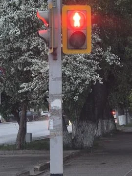Red pedestrian traffic light on spring street. Stock Photos
