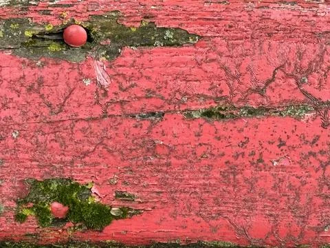 Red peeling paint wall texture with cracks and distressed grunge surface. Stock Photos