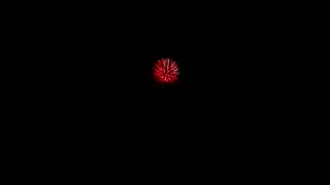 Red Peony Firework With Trail Exploding On Black Stock Footage 322187546