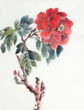 Red peony flower Illustrazione stock