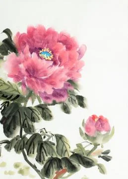 Red peony flower Stock Illustration