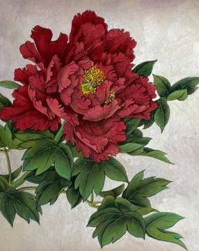 Red peony on a silver background Illustrazione stock