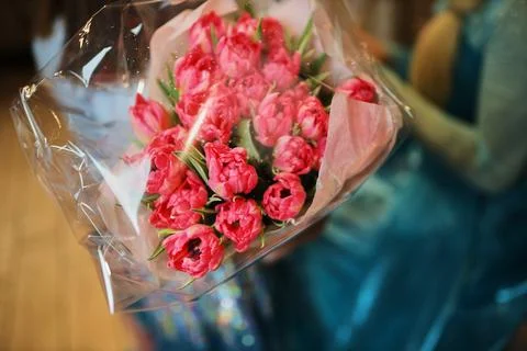 Red peony tulips in a gift box. Close up photo. Stock Photos
