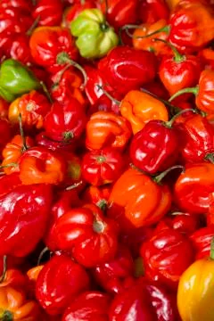 Red Pepper Background Stock Photos