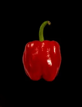 Red pepper on black Stock-Fotos