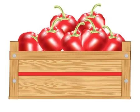 Red pepper in box Stock Illustration