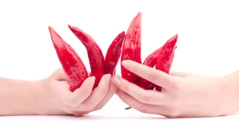 Red pepper chilli in the hands Stock Photos