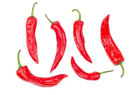 Red pepper chilli Stock Photos