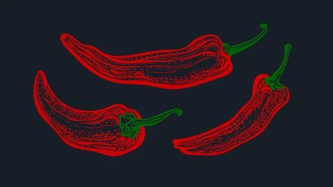 Red pepper chilli. Vector set. Organic paprika Stock-Illustration