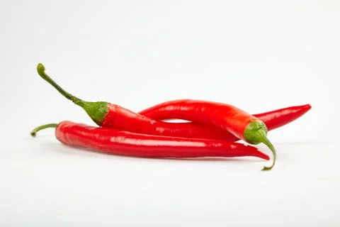 Red pepper chilli on a white background Stock Photos