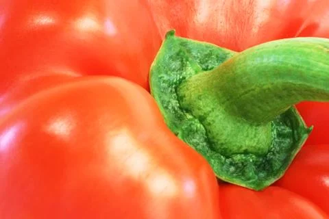 Red pepper close-up Stock Photos