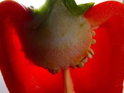 Red pepper close up Stock Photos