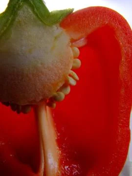 Red pepper close up Stock Photos