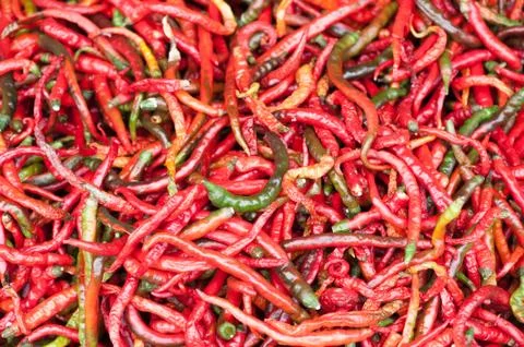 Red pepper drying outdoors Stock-Fotos