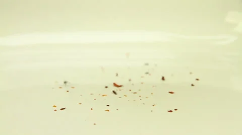 Red pepper flakes Stock Footage 47980298