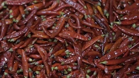 Red pepper Stock Footage 92737300