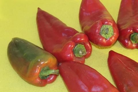 Red pepper on a green background Stock Photos