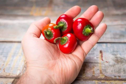 Red pepper in hand Foto stock