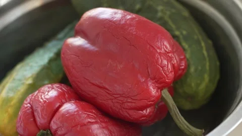 Red pepper that has been in the basket for a long time Stock Footage 316517020