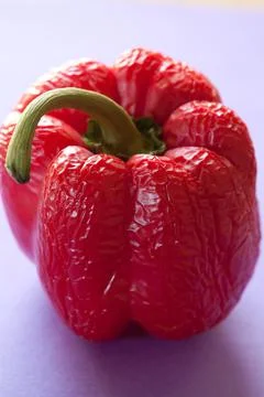 A red pepper that has got old and wrinkled Stock Photos