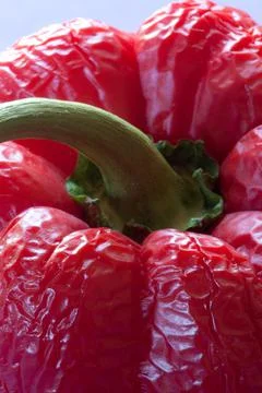 A red pepper that has got old and wrinkled Stock Photos