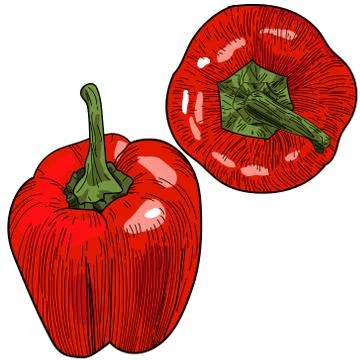 Red pepper icon vector illustration isolated on white background Stock Illustration