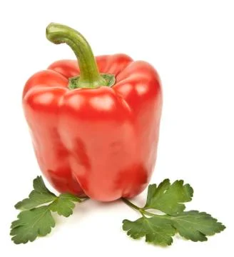Red pepper isolated on white background Stock Photos
