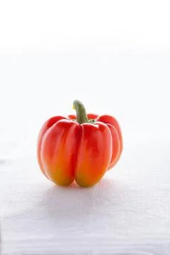 Red pepper isolated on white background Stock Photos