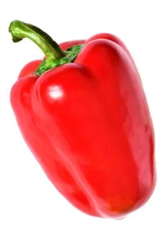 Red pepper isolated on white background. Фото